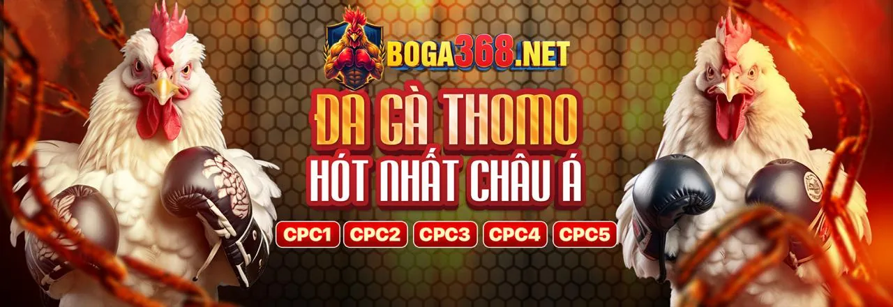 Bắt đầu hành trình cá cược tại 95vn Win