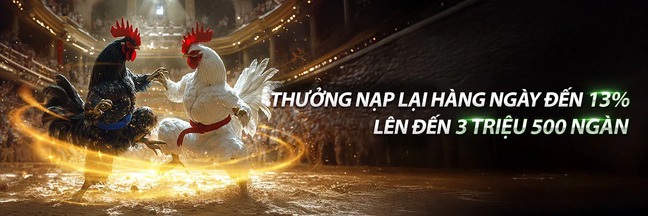 Đội ngũ 95vn win chuyên nghiệp và tận tâm