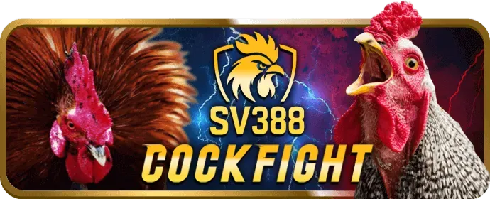 Tường lửa và phát hiện xâm nhập 95vn win